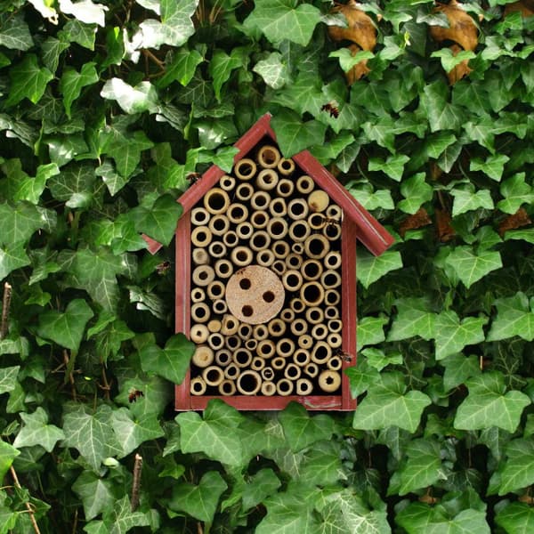 Insekthotell for ville bier i rødt