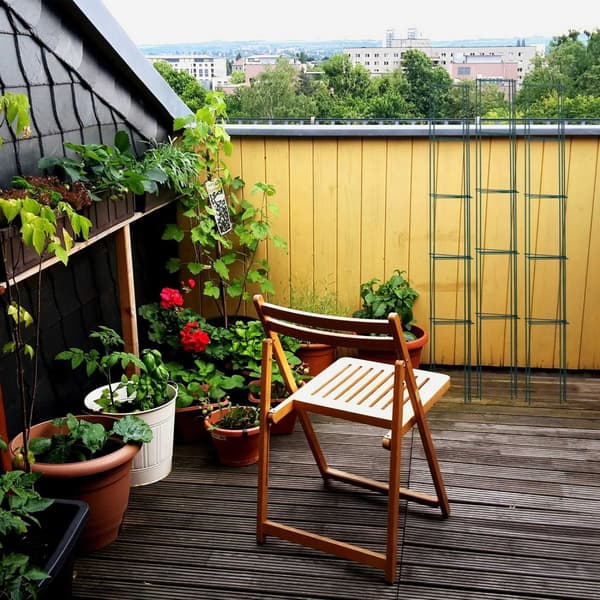 Klatrehjelp Sett på 3.150 cm