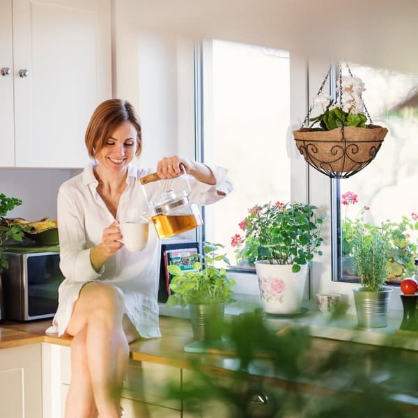Grapevine Uppsättning om 3 Kokosnöt