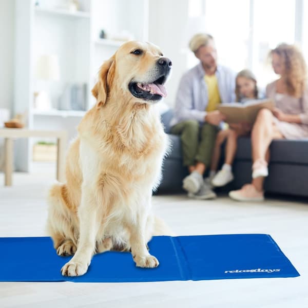 Blå kølemåtte til hunde