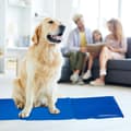Miniatyrbillede 2 af 8: Blå kølemåtte til hunde