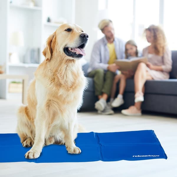 Blå kølemåtte til hunde