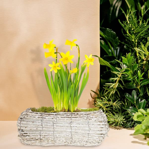 Buet blomsterpotte - sett med 2