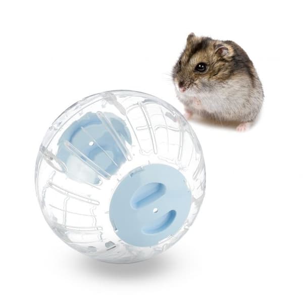 Hamsterboll med ljusblått lock Hamsterboll med ljusblått lock