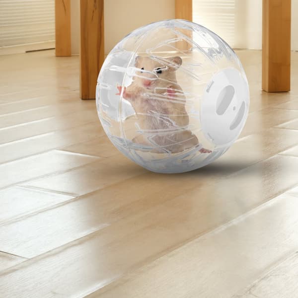 Hamsterkugle med hvidt låg