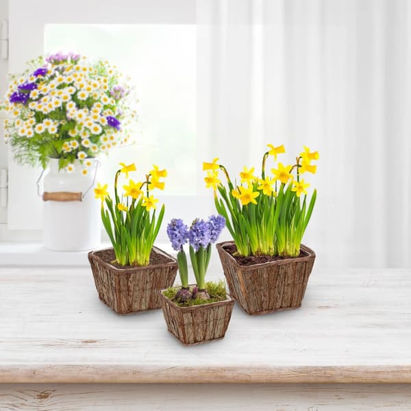 Fyrkantig blomkruka i trä - uppsättning om 3