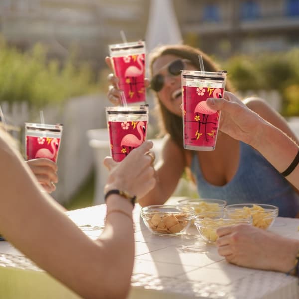 set med 4 dricksglas med flamingomotiv