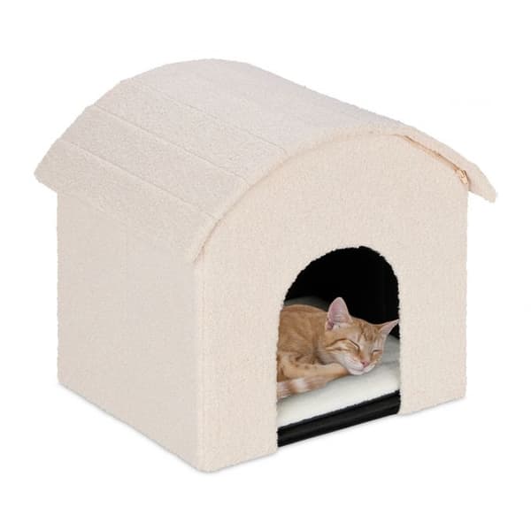 Beige kattegrop med skrapeoverflate