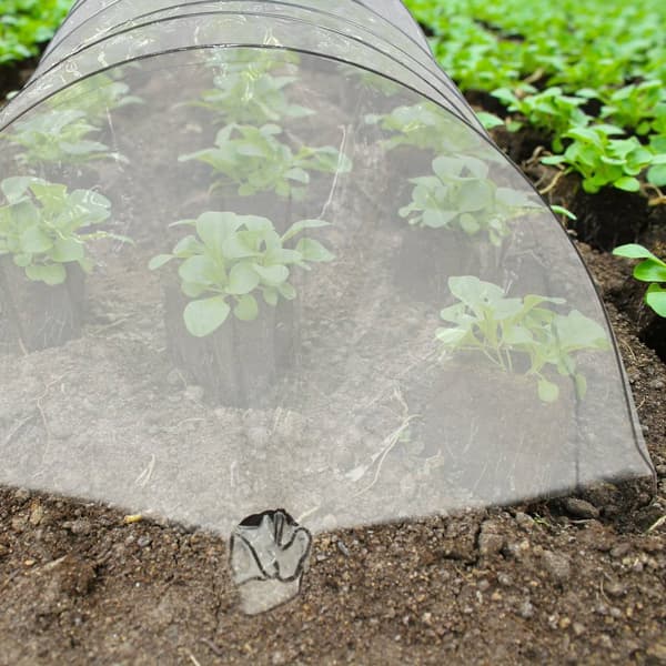 Folietunnel PVC 5 m