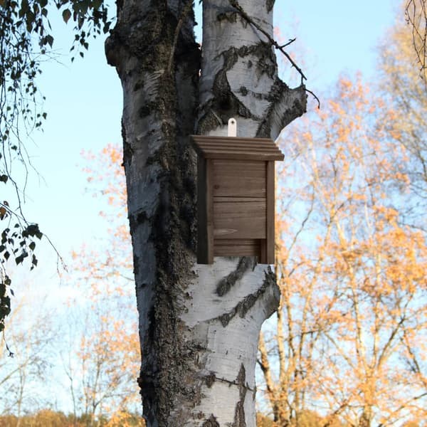Lepakkolaatikko ruskeaa puuta
