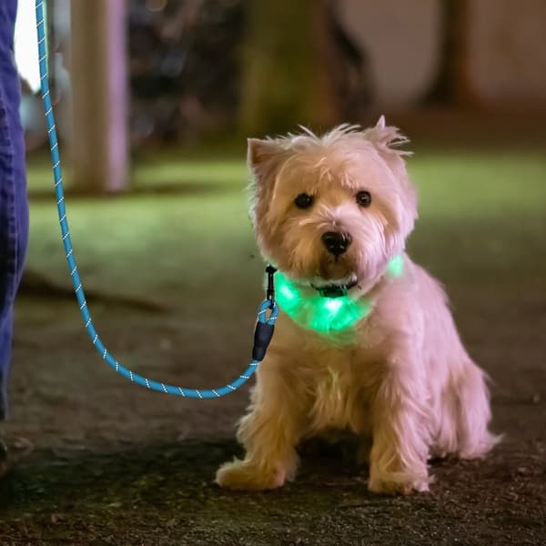 Vadderat hundkoppel blå 150 cm