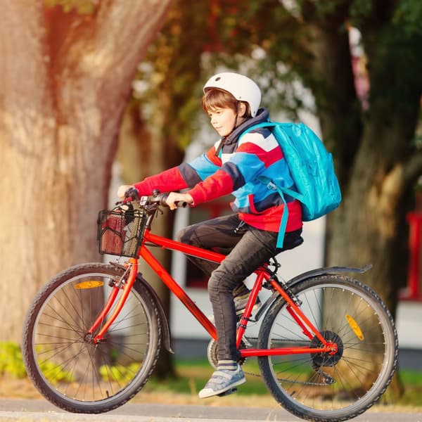 sæt med 4 bagagenet til motorcykel og cykel