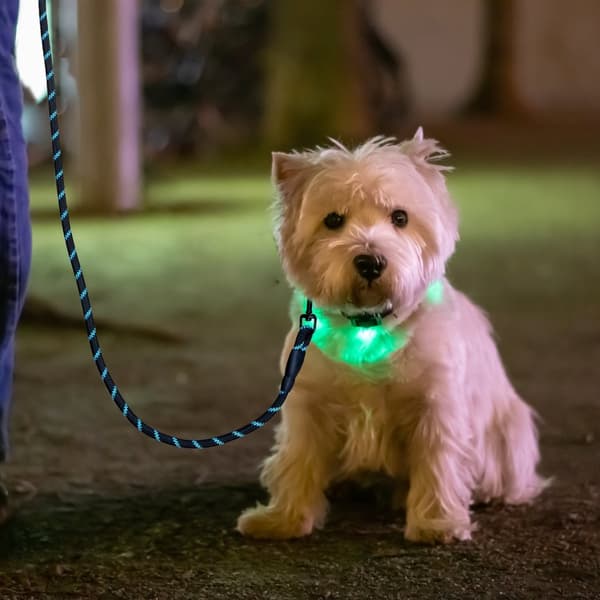 Polstret hundesnor sort 150 cm