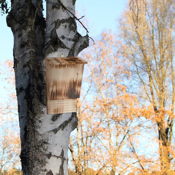 Lepakkolaatikko liekettyä puuta