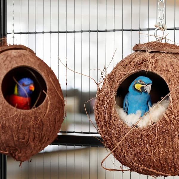Birdhouse kokosnøddesæt med 2 stk