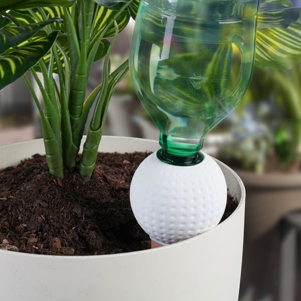 Golfbold med lerkegle, sæt med 4 stk