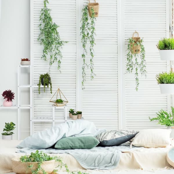 Hvid blomsterstand med hjul