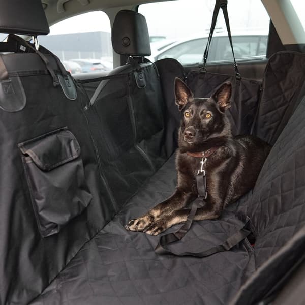 Hundedekken baksetet i bilen