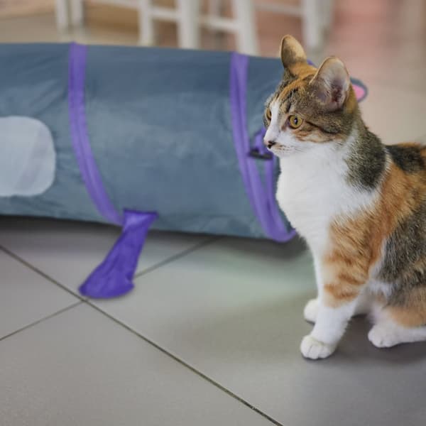 Pop-up kattetunnel med musedesign