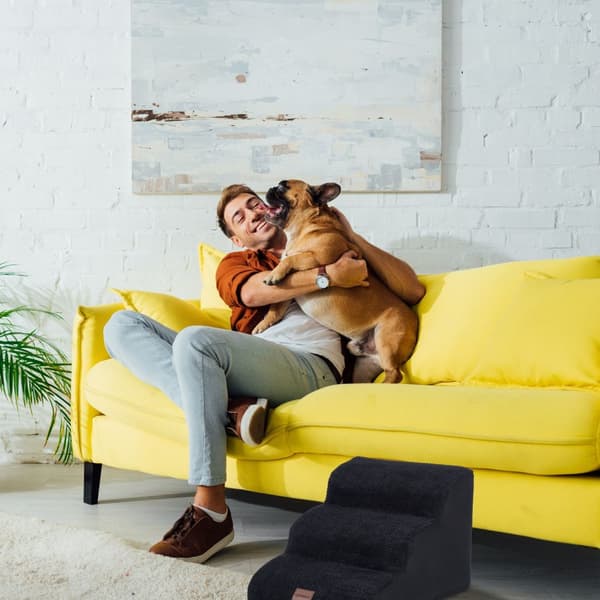 Hundtrappa med 3 trappsteg