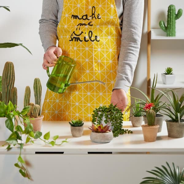 Vannkanne for potteplanter 1 liter sett med 2