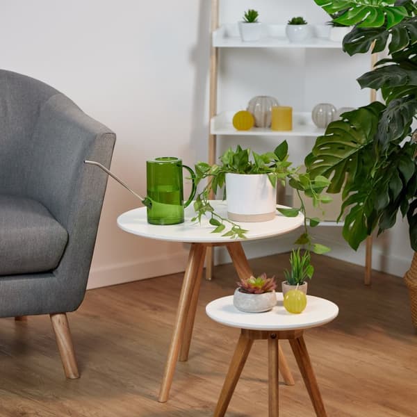 Vannkanne for potteplanter 1 liter sett med 2