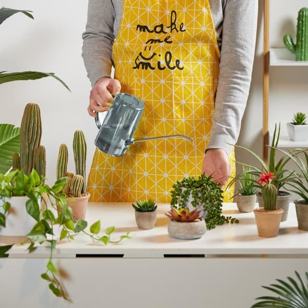 Vannkanne for potteplanter 1 liter