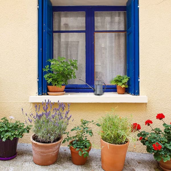 Vannkanne for potteplanter 1 liter