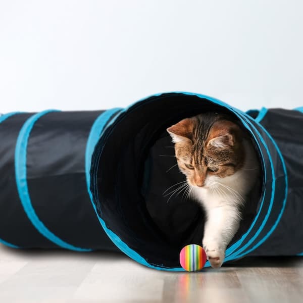 Hopfällbar kattunnel 3 sätt