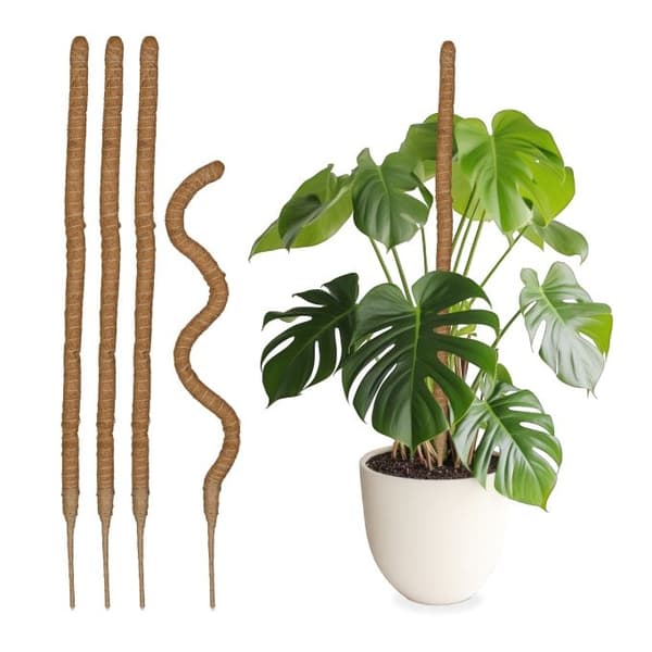 sett med 5 kokospinner 90 cm