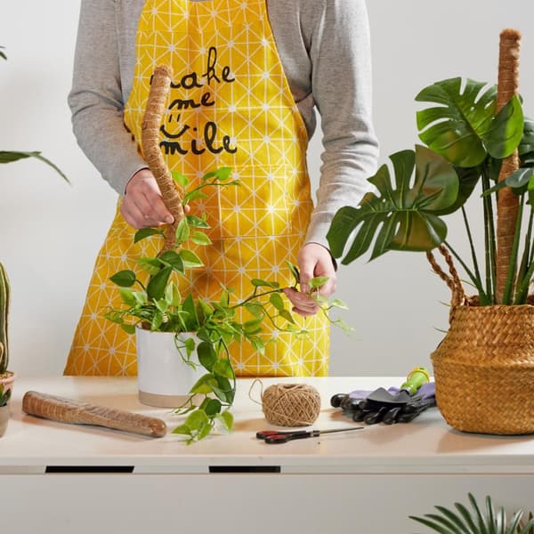 Kokosnötsstavar 60 cm