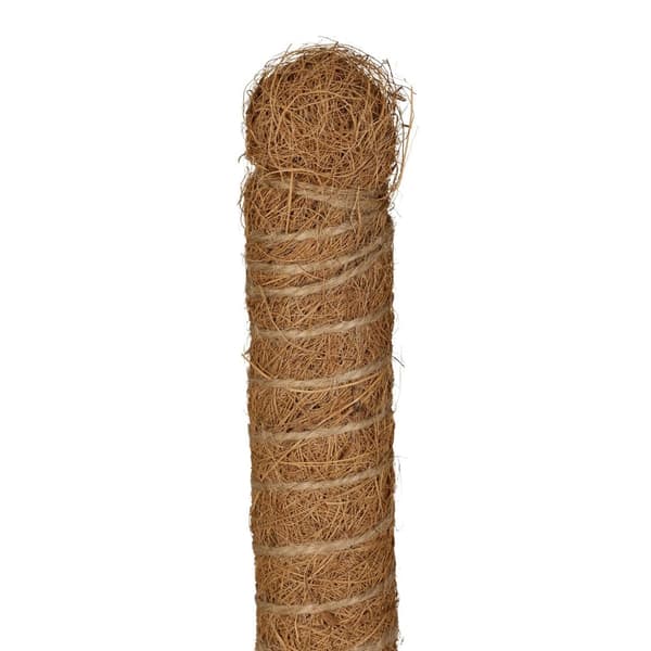 Kokospinner 60 cm