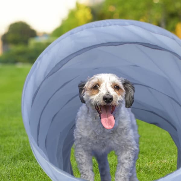 Hundetunnel agility 2m