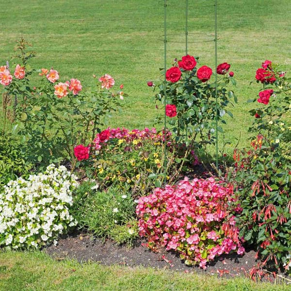 Trellis 150 cm sett med 3