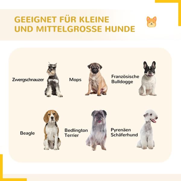 Puppy run, hvalpe kravlegård, udendørs indhegning til mellemstore, små hunde, små dyreløb, DIY hvalpe indhegning med to døre, stål, grå