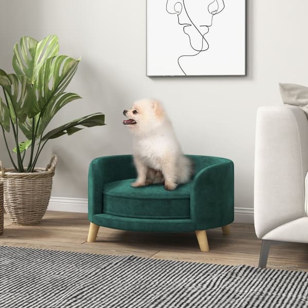 Hundesofa Velvet Look Pet Sofa Med Pude, Hævet Design Og Træben, Grøn