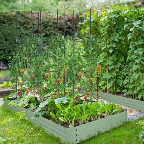 Trellis Sæt Med 3 Planteholdere Haveplantestøttestænger Trellis Tomatbur Til Klatreplanter Stålgrøn 38 X 38 X 182 Cm