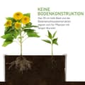 Miniatyrbild 7 av 10: Upphöjd Bädd Blomlåda Växtlåda Med Dräneringsfunktion För Grönsaker Plastgrå 60 X 60 X 30 Cm