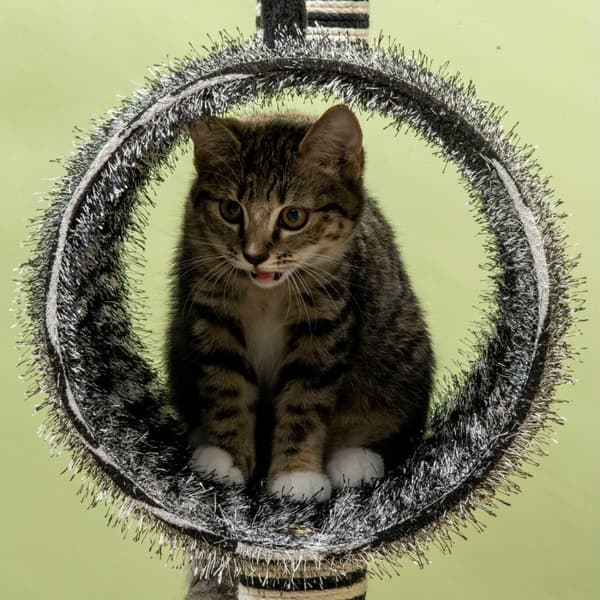 Skrapestolpe Cat Tree Zebra Design Klatretunnel Jute Stolpe Svart + Hvit 93Cm