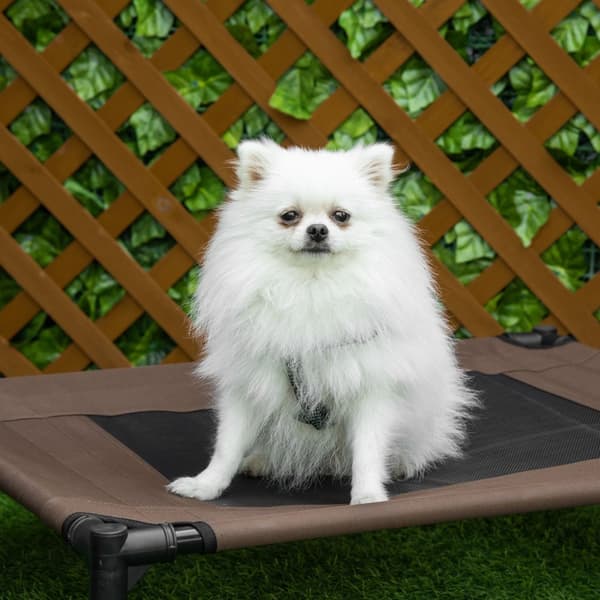 Outdoor Hundeseng Robust Hundeseng 600D Oxford Brun 76X61X18Cm Hunde & Katte