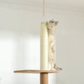 Pikkukuva 8 / 8: Korkeussäädettävä Raaputustolppakiipeilypuu Kissoille, Leikkipuu, Khaki, 43X27X228-260Cm