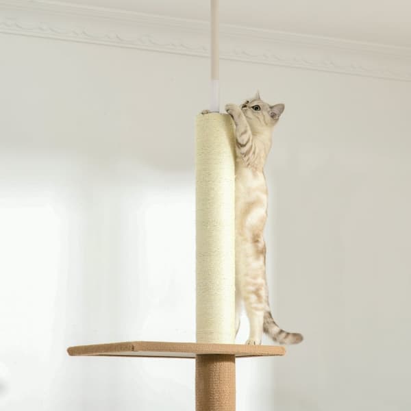 Korkeussäädettävä Raaputustolppakiipeilypuu Kissoille, Leikkipuu, Khaki, 43X27X228-260Cm