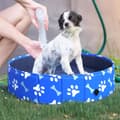 Miniatyrbilde 3 av 10: Hundebadekar Sammenleggbart Hundebasseng Badekar Vannbasseng Hunder/Katter Ø80X20Hcm