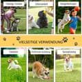 Miniatyrbillede 6 af 10: Dog Agility Hæksæt, Hundetræningssæt, Forhindringsbane, Plastik, Polyester, Gul, 128 X 23 X 9-100 Cm