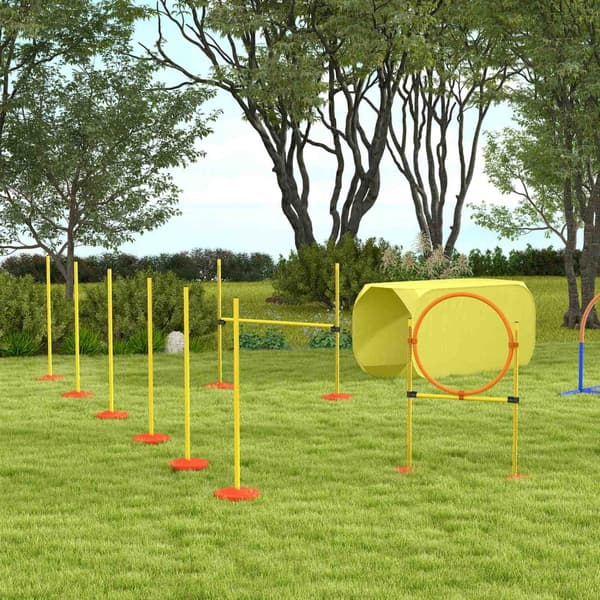 Dog Agility Hæksæt, Hundetræningssæt, Forhindringsbane, Plastik, Polyester, Gul, 128 X 23 X 9-100 Cm