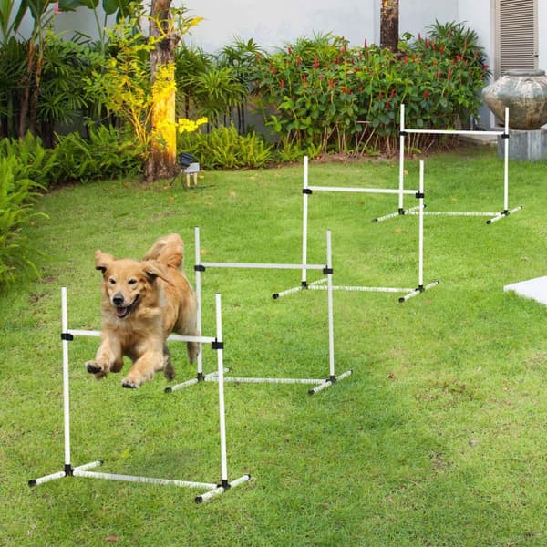 Agility Hækkesæt Slalomstænger Hundetræningssæt 4 X Hække, Plastik, Hvid, 99X65X94Cm