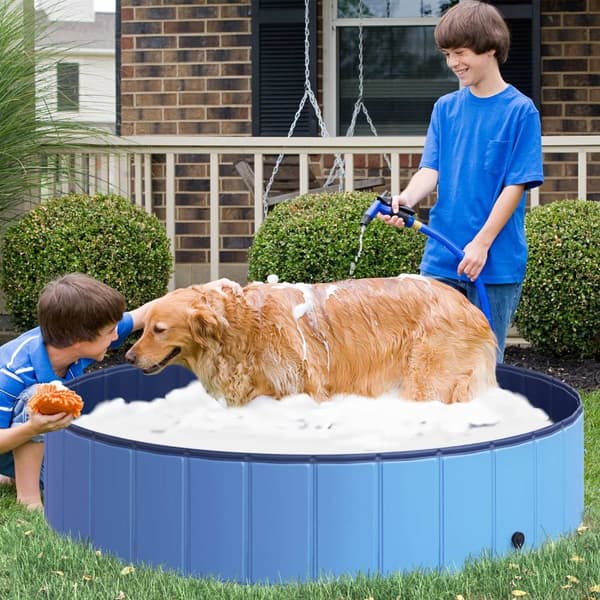 Hundebasseng Stort Svømmebasseng For Hunder, Plaskebasseng Laget Av Pvc + Tre, Blå, Diameter 140 X Høyde 30 Cm, Ideell For Sommeren