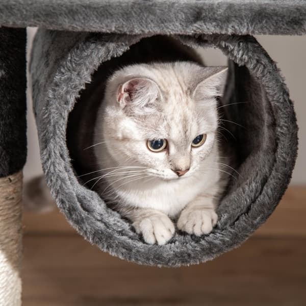 Katt Träd Klösstolpe Katt Klösstolpe Klätterträd Katt Sisal Tak Högt (Höjdjusterbar Från 240-260Cm) Mörkgrå