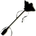 Miniatyrbilde 3 av 3: Secretplay - Black Whip & Feather