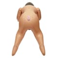 Pikkukuva 6 / 8: Calexotics - Back Door Babe Love Doll